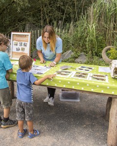 Stage Mathilde au Parc Animalier de Sainte Croix